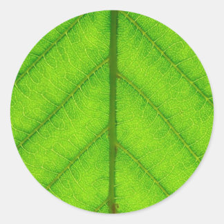 Groene Blad Stickers