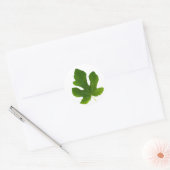 Groene bladcloseup geïsoleerd op witte achtergrond ronde sticker (Envelop)