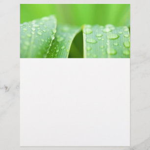 Groene bladeren achtergrond flyer