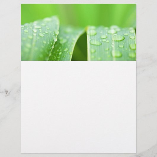 Groene bladeren achtergrond flyer (Voorkant)