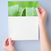 Groene bladeren achtergrond flyer (Hand)