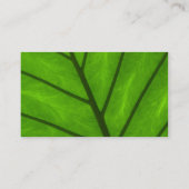 Groene bladeren, bladeren, Plant, bloemenborst, bl Visitekaartje (Achterkant)