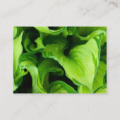 Groene bladeren, bladeren, Plant, bloemenborst, bl Visitekaartje (Achterkant)