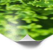 Groene bladeren, bladzijden achtergrond, leder, go foto afdruk (Hoek)