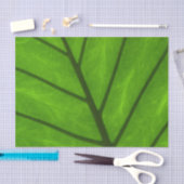 Groene bladeren, bladzijden achtergrond, leder, go tissuepapier (Craft)