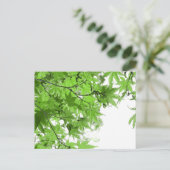 Groene bladeren briefkaart (Staand voorkant)