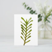 Groene bladeren briefkaart (Staand voorkant)