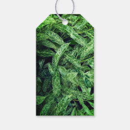 Groene bladeren cadeaulabel