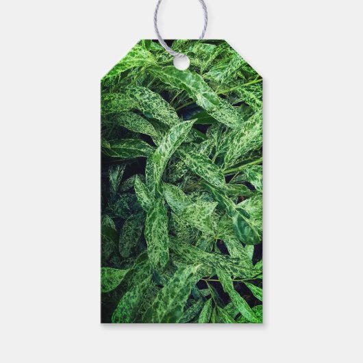 Groene bladeren cadeaulabel (Voorkant)