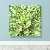Groene bladeren canvas afdruk (Insitu (Houten vloer))