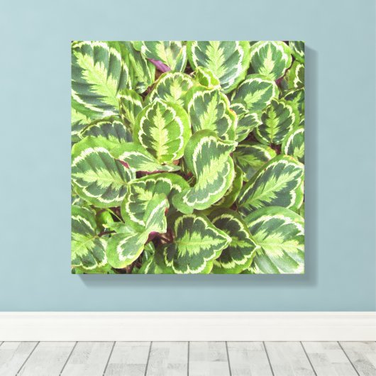 Groene bladeren canvas afdruk (Insitu (Houten vloer))
