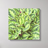 Groene bladeren canvas afdruk (Voorkant)