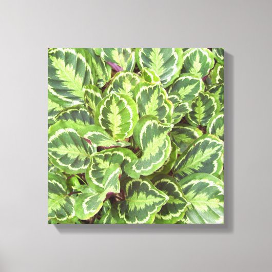 Groene bladeren canvas afdruk (Voorkant)