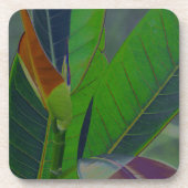 Groene Bladeren Close-Up Bier Onderzetter (Voorkant)