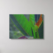 Groene bladeren close-up canvas afdruk (Voorkant)