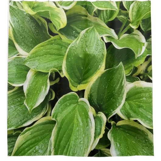 groene bladeren douchegordijn (Voorkant)