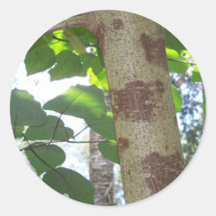groene bladeren en boomstam met koele schors ronde sticker