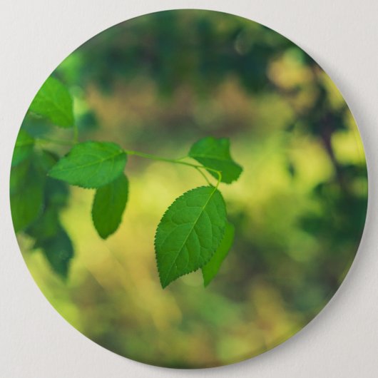 Groene bladeren en gele kever ronde button 6,0 cm (Voorkant)