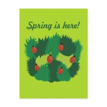 Groene bladeren en Ladybugs-lente is hier