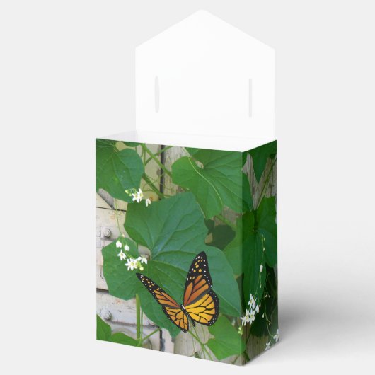 Groene bladeren en vlinder gunst doos bedankdoosjes (Geopend)