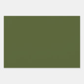 Groene bladeren en witte bloemen op groene achterg inpakpapier vel (Voorkant 3)