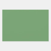 Groene bladeren en witte bloemen op groene achterg inpakpapier vel (Voorkant 2)