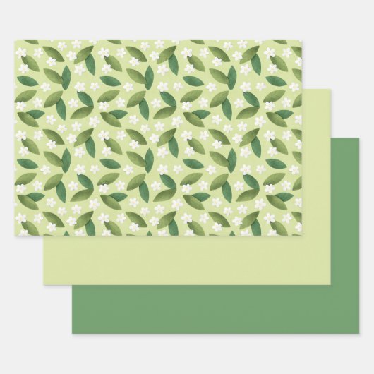 Groene bladeren en witte bloemen op groene achterg inpakpapier vel (Set)