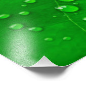 Groene bladeren foto afdruk (Hoek)