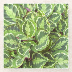 Groene bladeren glazen onderzetter