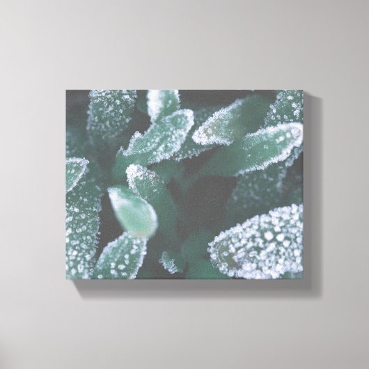 Groene Bladeren Gras Bevroren Vorst Canvas Afdruk (Voorkant)