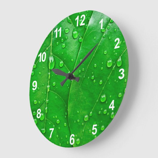 Groene bladeren grote klok (Hoek)