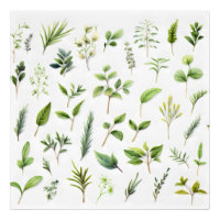 Groene bladeren Herbarium