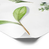 Groene bladeren Herbarium Foto Afdruk (Hoek)