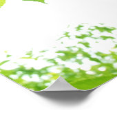 Groene bladeren in zonlicht, close-up poster (Hoek)