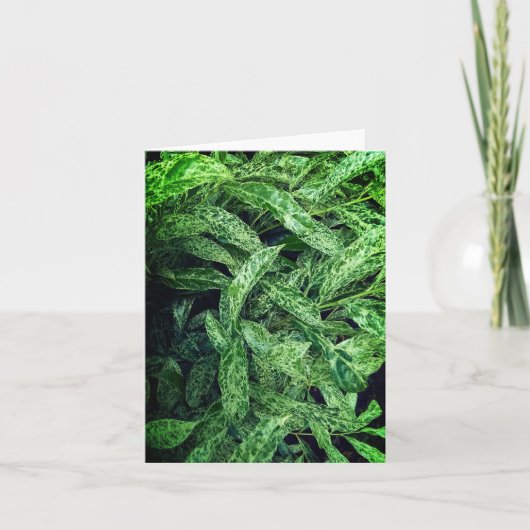 Groene bladeren kaart (Voorkant)