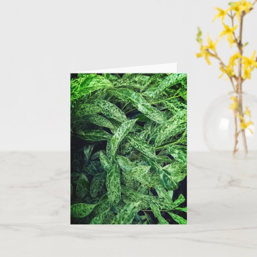 Groene bladeren kaart (Gele Bloem)