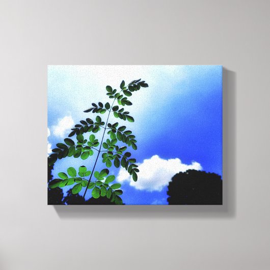 Groene bladeren, lucht en wolken achtergrond canvas afdruk (Voorkant)