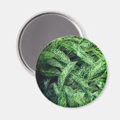 Groene bladeren magneet (Voorkant / Achterkant)