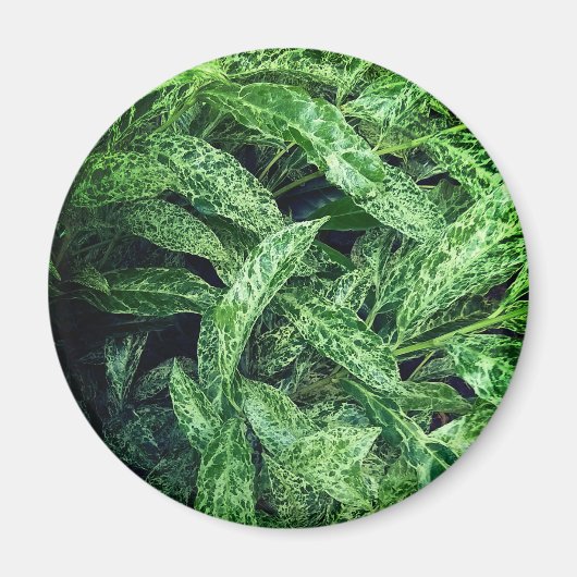 Groene bladeren magneet (Voorkant)