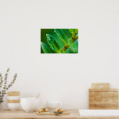 Groene bladeren na de regen Poster (Keuken)
