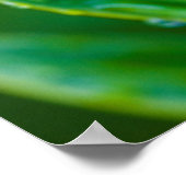 Groene bladeren na de regen Poster (Hoek)
