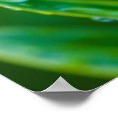 Groene bladeren na de regen Poster (Hoek)