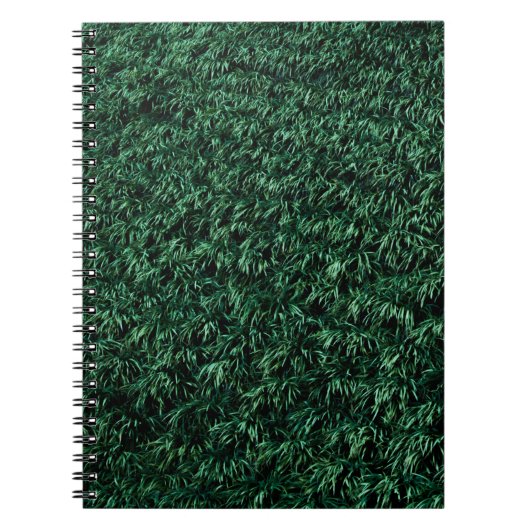 Groene bladeren notitieboek (Voorkant)