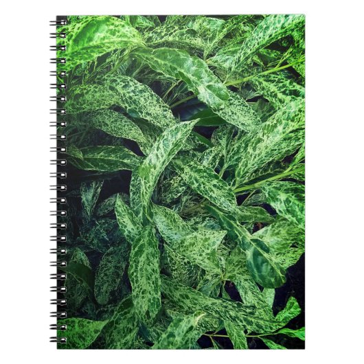 Groene bladeren notitieboek (Voorkant)