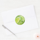 Groene bladeren op boom ronde sticker (Envelop)
