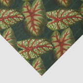 Groene bladeren op donkergroene ontkoppeling tissuepapier (Detail)