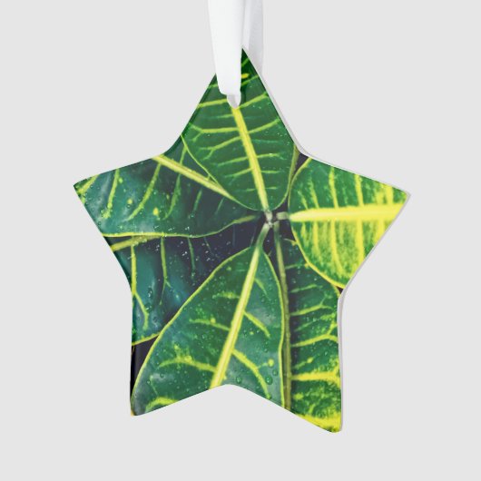 Groene bladeren ornament (voorkant)