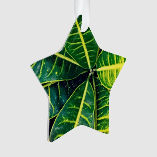 Groene bladeren ornament (voorkant)