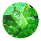 Groene bladeren Palmblad tropisch gebladerte oerwo Keramische Knop (Voorkant)