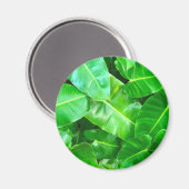 Groene bladeren Palmblad tropisch gebladerte oerwo Magneet (Voorkant / Achterkant)